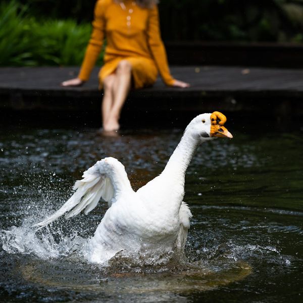 Active woman feeling energetic and full of life outdoors.